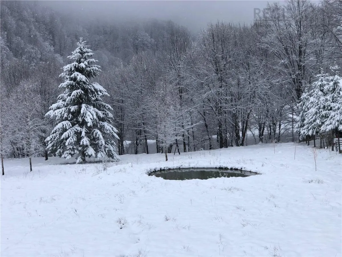Vila premium cu lac privat si panorama catre Masivul Postavaru | Cheile Rasnoavei - foto 3