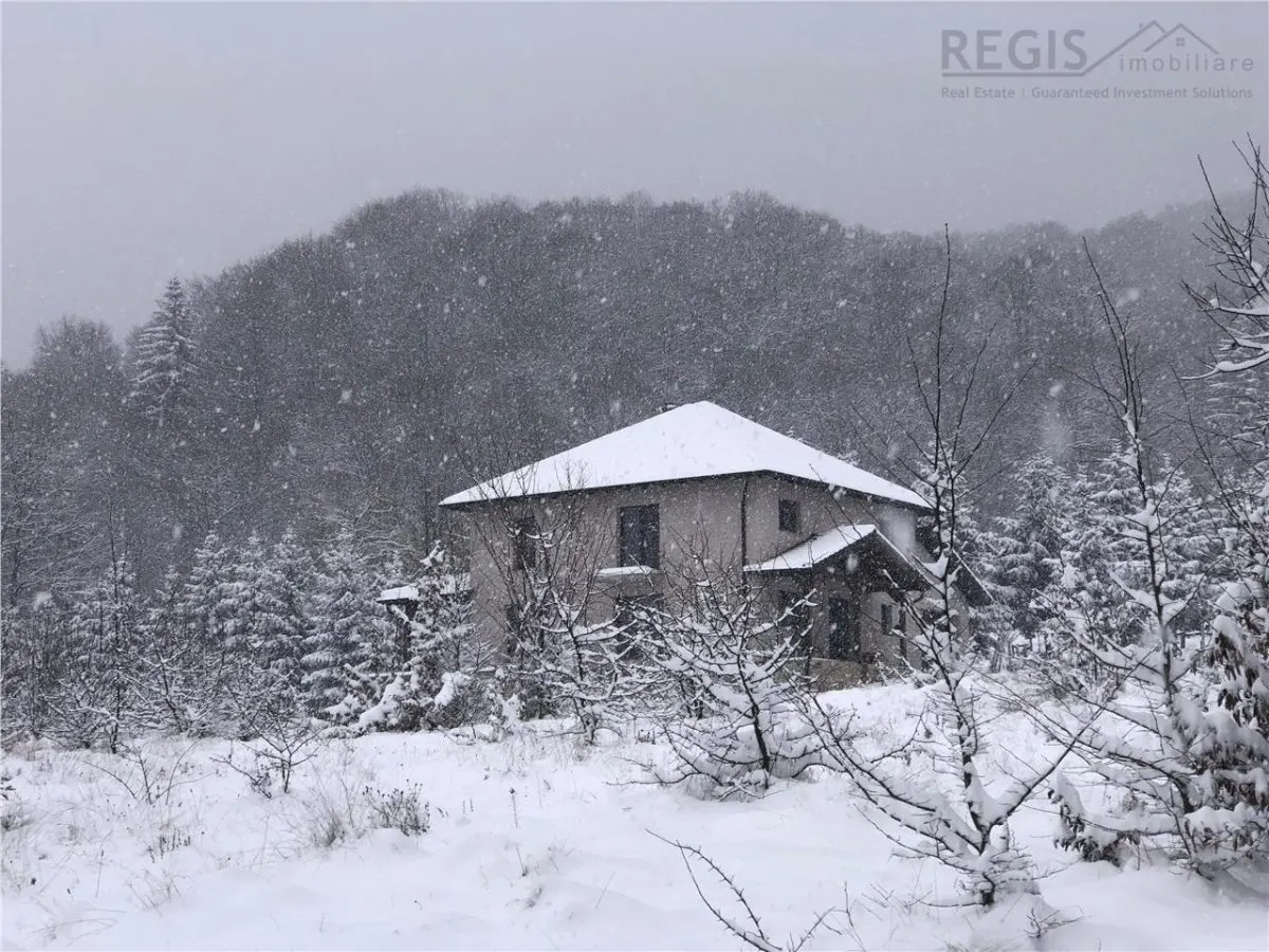 Vila premium cu lac privat si panorama catre Masivul Postavaru | Cheile Rasnoavei - foto 9