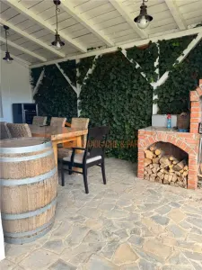 Casa tip S+P+1E+M in zona Gura Calnaului - foto 22