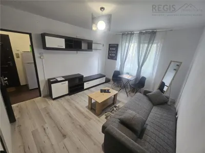 Apartament 2 camere Florilor - foto 3