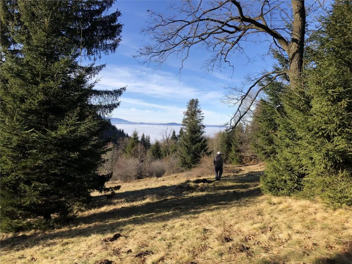 Teren superb extravilan in apropiere de Poiana Brasov - foto 1