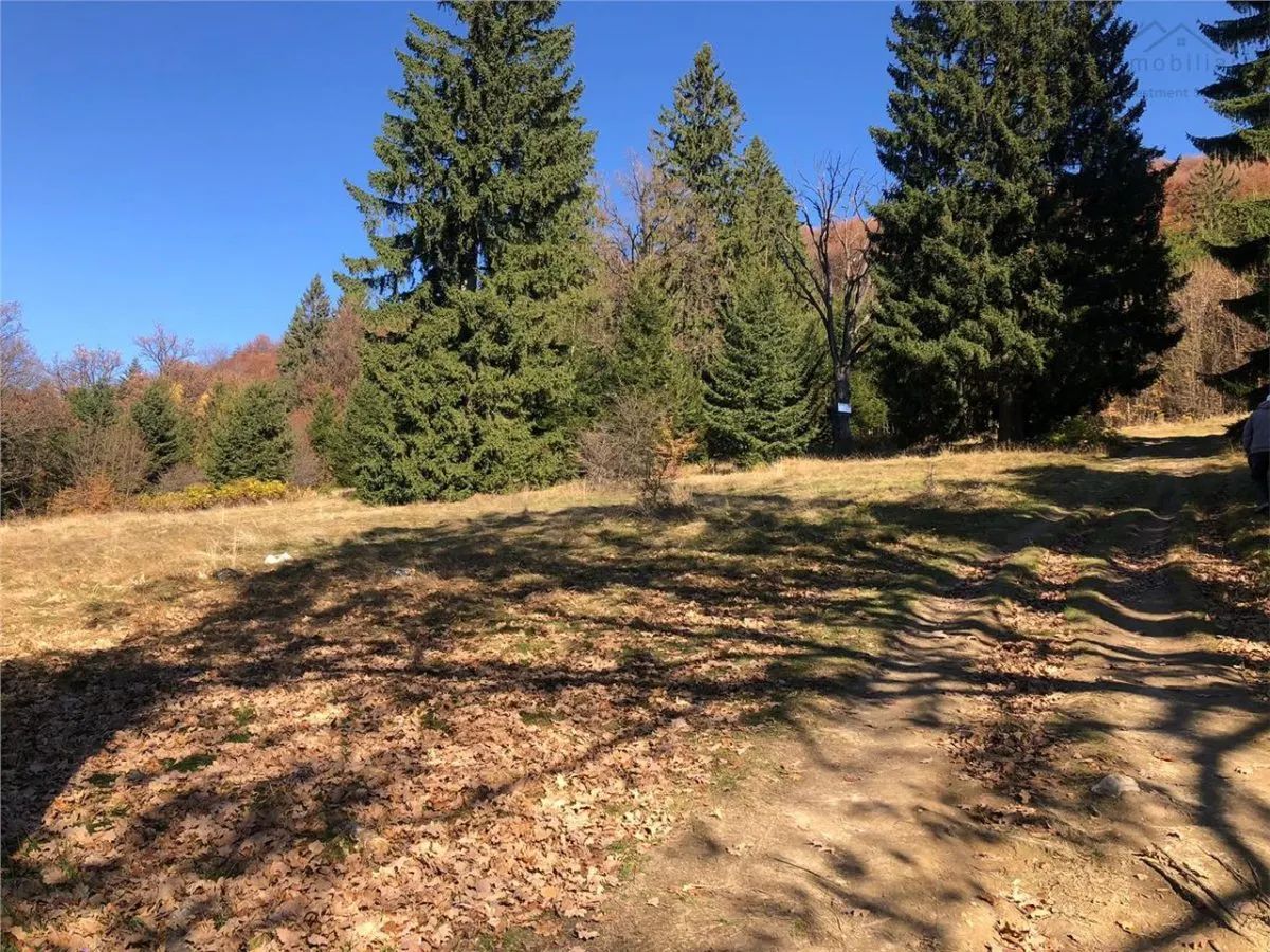 Teren superb extravilan in apropiere de Poiana Brasov - foto 4