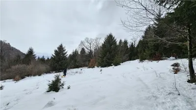 Teren superb extravilan in apropiere de Poiana Brasov - foto 6