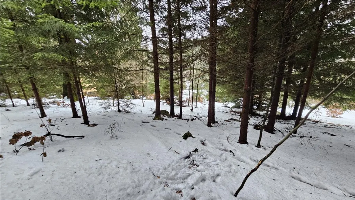 Teren superb extravilan in apropiere de Poiana Brasov - foto 7