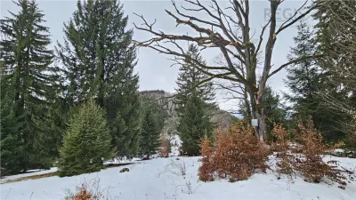 Teren superb extravilan in apropiere de Poiana Brasov - foto 9