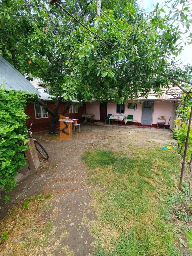 EXCLUSIVITATE! Casa + teren zona Beilic, com. Sageata - foto 12