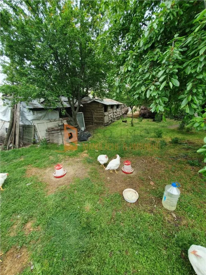 EXCLUSIVITATE! Casa + teren zona Beilic, com. Sageata - foto 13