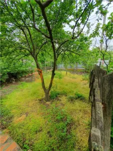 EXCLUSIVITATE! Casa + teren zona Beilic, com. Sageata - foto 14