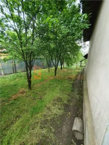 EXCLUSIVITATE! Casa + teren zona Beilic, com. Sageata - foto 15