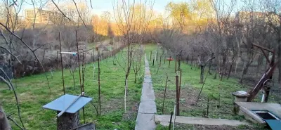 Vanzare casa P+beci pe teren 976 mp| cerere depusa CU | Baneasa - Biharia | - foto 6