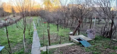 Vanzare casa P+beci pe teren intravilan 976 mp| cerere depusa CU | Baneasa - Biharia | - foto 2