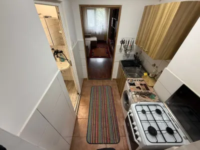 Apartament 2 camere zona Florilor - foto 6