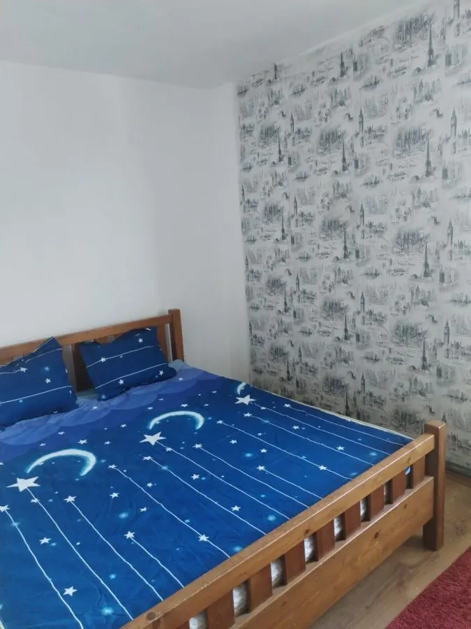 Apartament 2 camere zona Craiter - foto 3