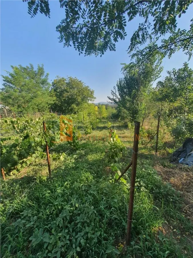 Exclusivitate! Teren intravilan zona Beceni - foto 3