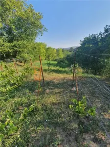 Exclusivitate! Teren intravilan zona Beceni - foto 5