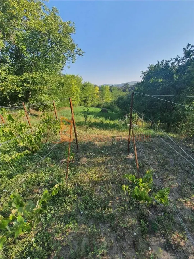 Exclusivitate! Teren intravilan zona Beceni - foto 5