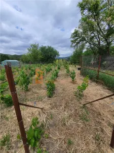 Exclusivitate! Teren intravilan zona Beceni - foto 7