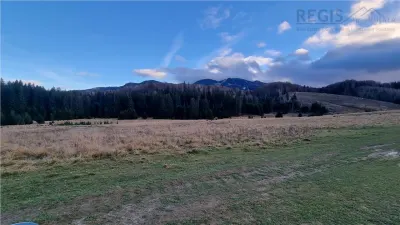 Teren intravilan zona Silver Mountain , Poiana Brasov - foto 7