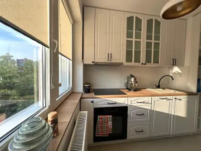 Vanzare apartament 2 camere | Dristor | Camil Ressu | stradal | decomandat | etaj 5/10 | renovat | mobilat si utilat lux | - foto 12