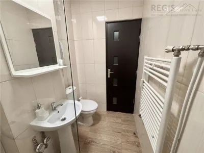 Garsoniera/spatiu comercial de vanzare parter | Sec 2 Pantelimon - foto 9