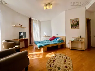 Vila Impunatoare cu Piscina pentru Familie sau Investitie Turistica - foto 20