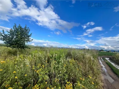 TEREN INTRAVILAN, 500 MP, HARMAN - foto 2