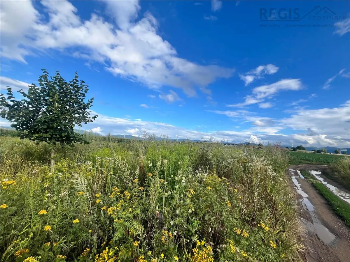TEREN INTRAVILAN, 500 MP, HARMAN - foto 2