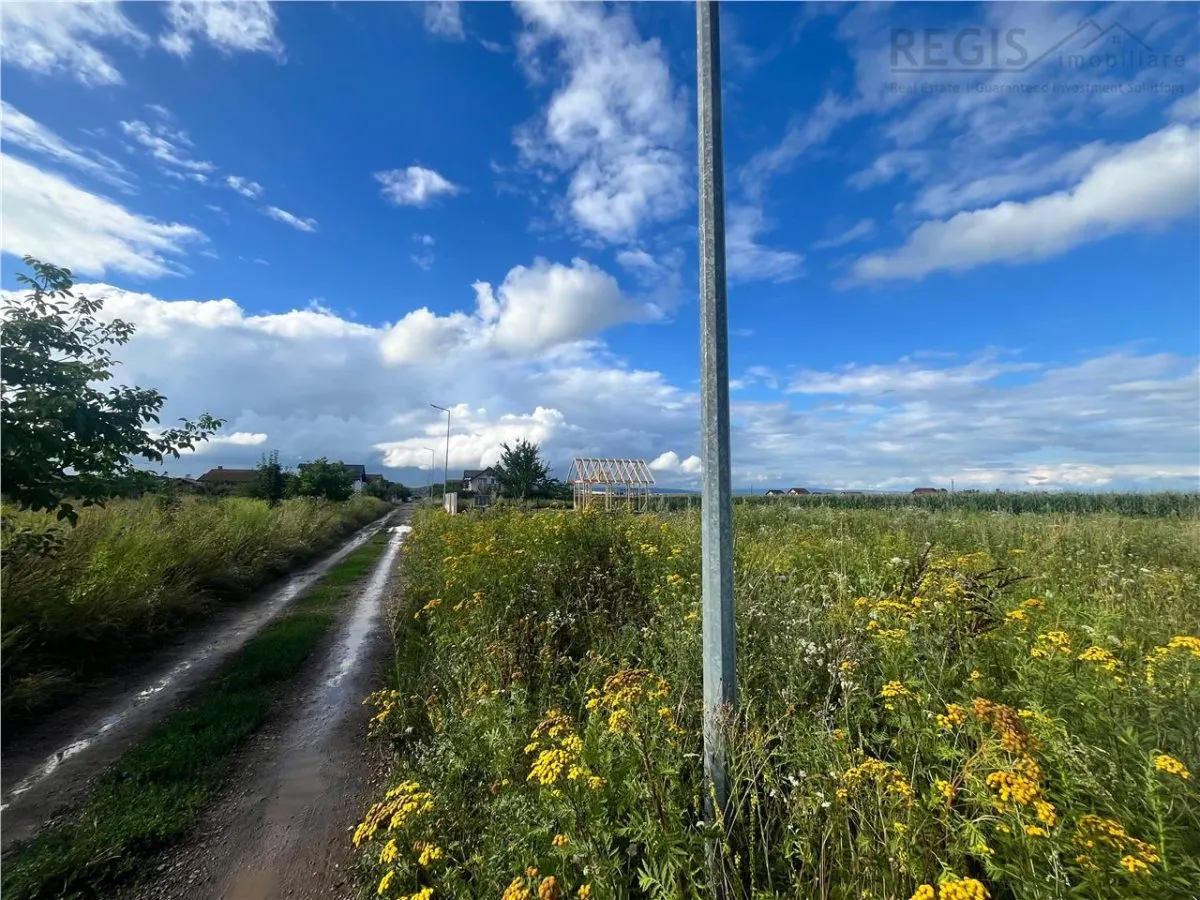 TEREN INTRAVILAN, 500 MP, HARMAN - foto 3