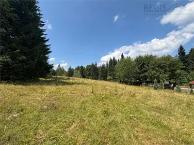Teren Intravilan 1000MP Utilitati 3 Brazi Predeal - foto 2