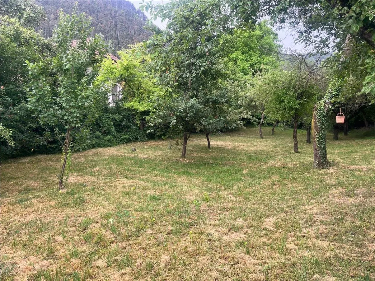 TEREN 1600MP CU CASA 5 CAMERE, SCHEII BRASOVULUI - foto 1