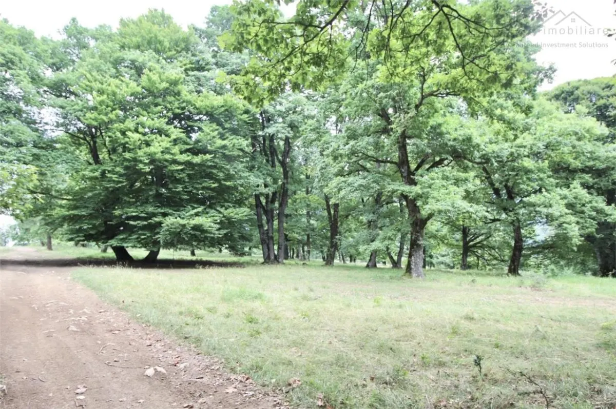Teren de vanzare 4713 mp investitie | Poiana Brasov - foto 2