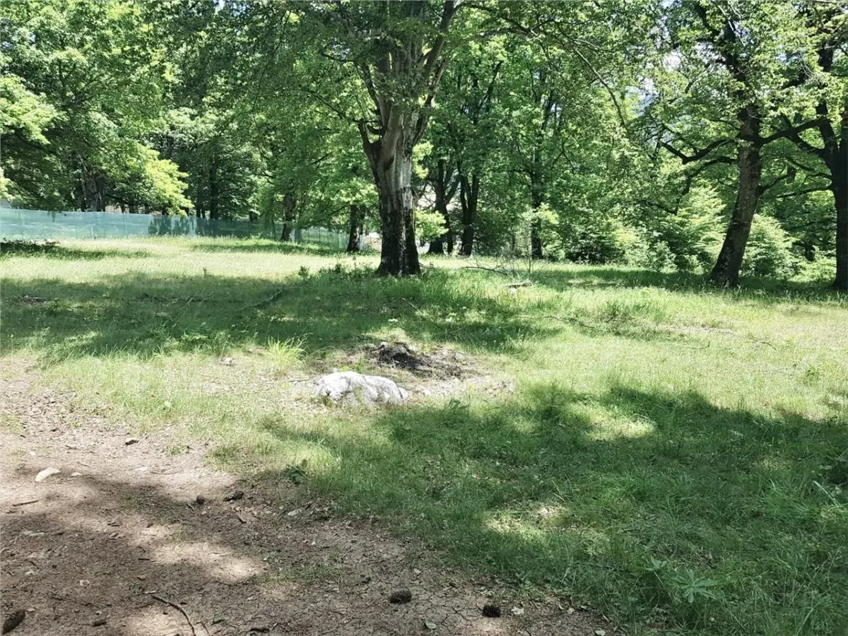 Teren de vanzare 4713 mp investitie | Poiana Brasov - foto 12