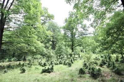 Teren de vanzare 4713 mp investitie | Poiana Brasov - foto 4