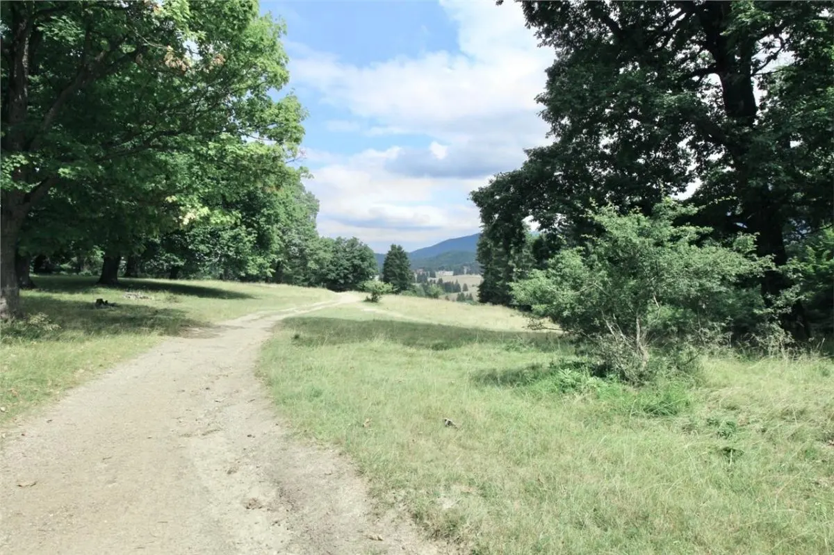 Teren de vanzare 4713 mp investitie | Poiana Brasov - foto 9