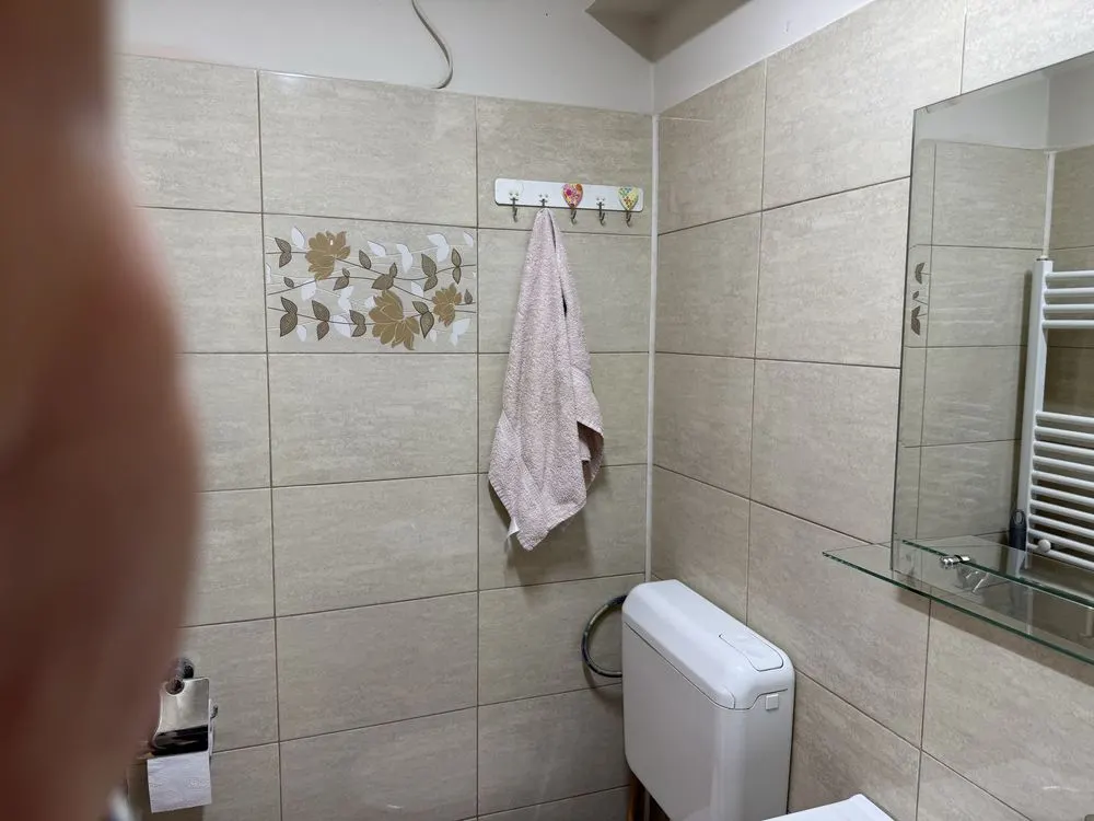 Garsoniera decomandata, renovata zona Gemenii - foto 7