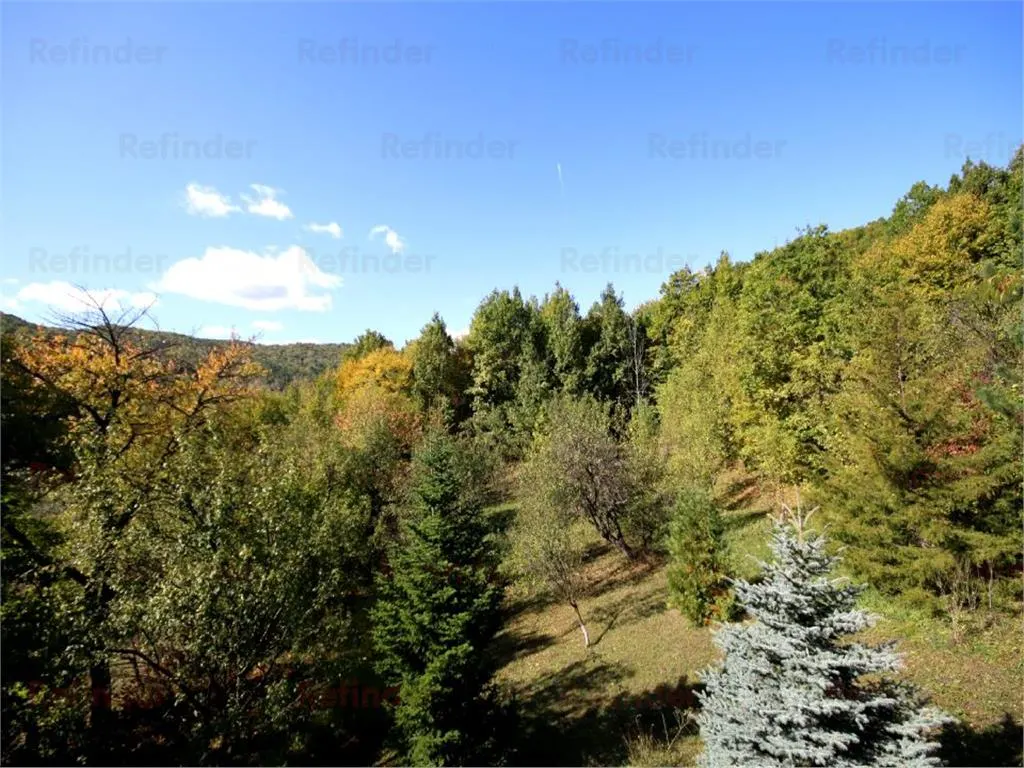Vanzare vila Valenii de Munte - Drajna de Sus, judet Prahova - foto 17