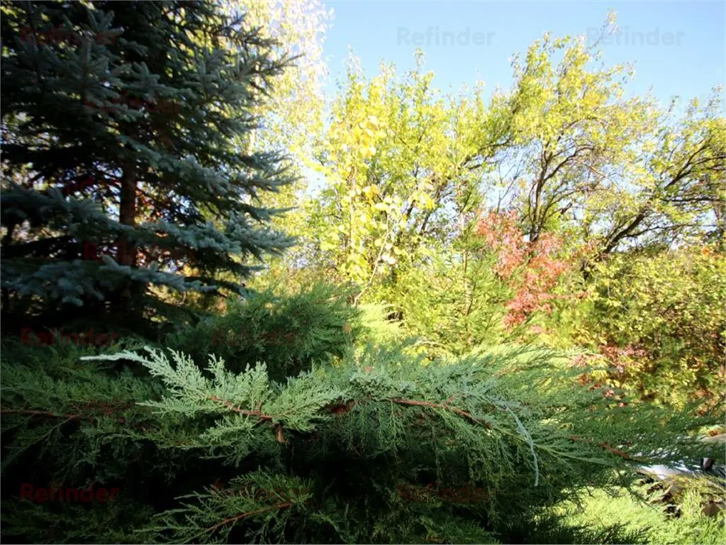 Vanzare vila Valenii de Munte - Drajna de Sus, judet Prahova - foto 20
