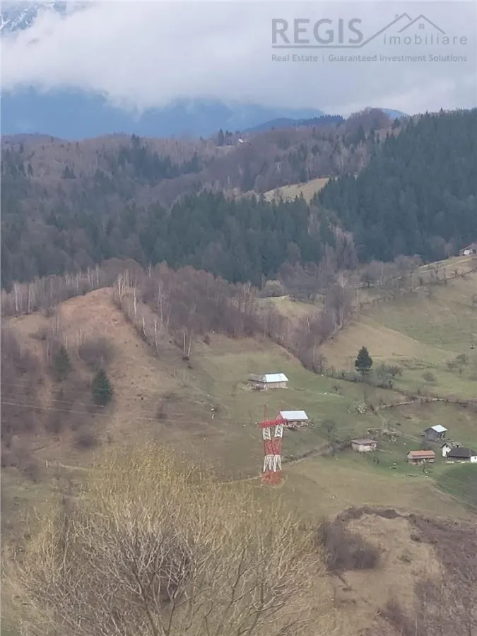 Teren, Zona de Interes Turistic-Cheile Gradistei,  8800mp - foto 1