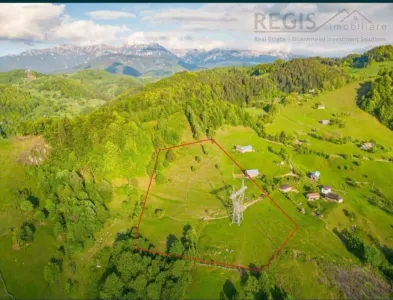 Teren, Zona de Interes Turistic-Cheile Gradistei,  8800mp - foto 2