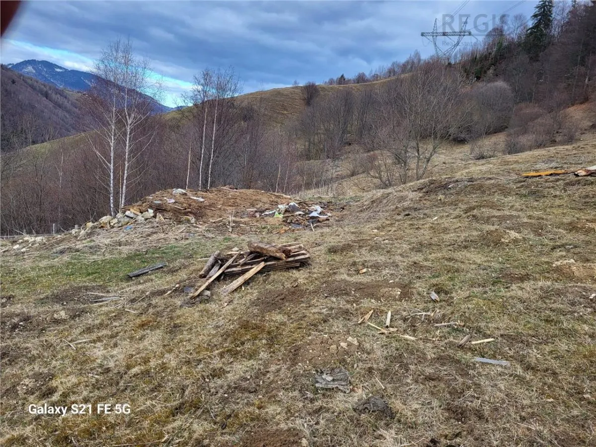 Teren, Zona de Interes Turistic-Cheile Gradistei,  8800mp - foto 4