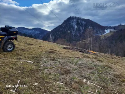 Teren, Zona de Interes Turistic-Cheile Gradistei,  8800mp - foto 5