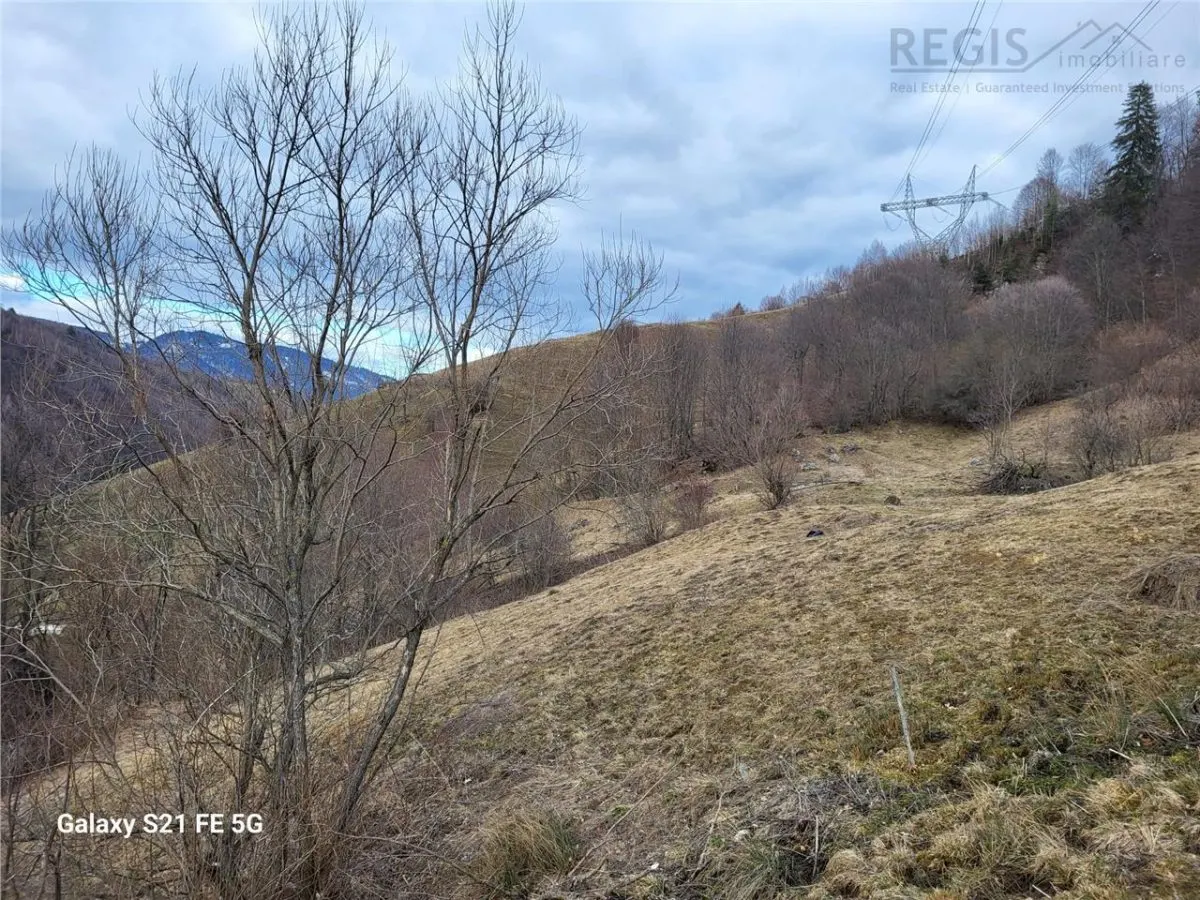 Teren, Zona de Interes Turistic-Cheile Gradistei,  8800mp - foto 9