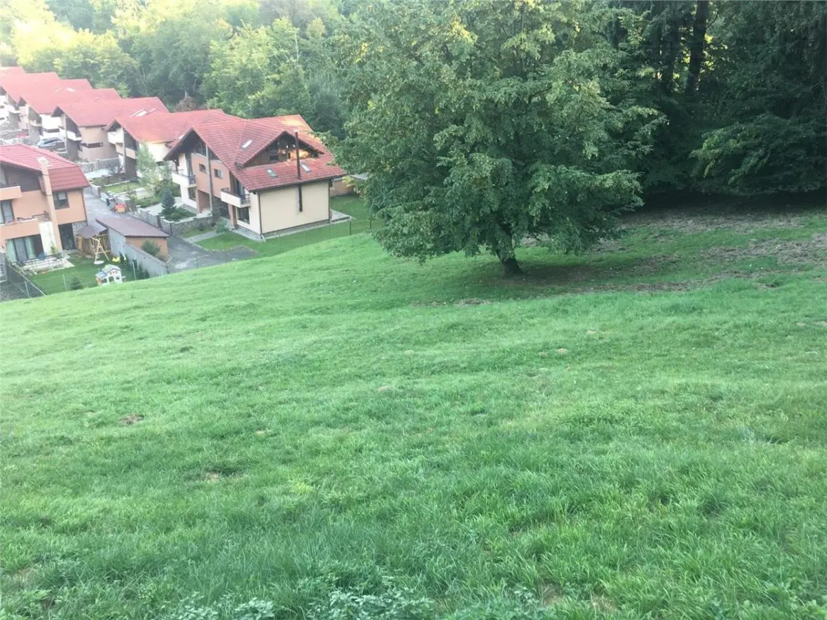 Teren pentru dezvoltatori, 2900mp Noua-Darste - foto 2