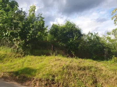 Teren Valenii de Munte, str Rizanesti,  3480mp, cu acces pe 3 laturi, intravilan construibil, la 50m de p?dure, utilitati. - foto 2