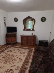 Apartament 2 camere zona Astra-LIDL - foto 5