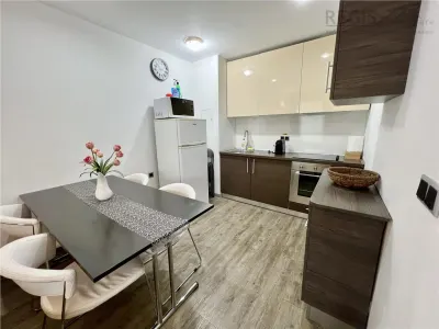 Apartament confortabil 3 cam Silver Mountain - foto 6