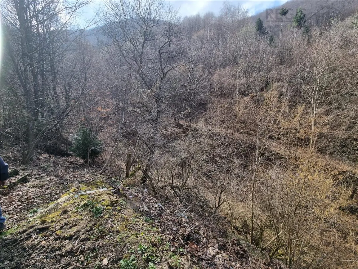 Teren arabil intravilan , priveliste mirifica , zona Schei - foto 11