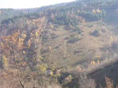 Teren arabil intravilan , priveliste mirifica , zona Schei - foto 13