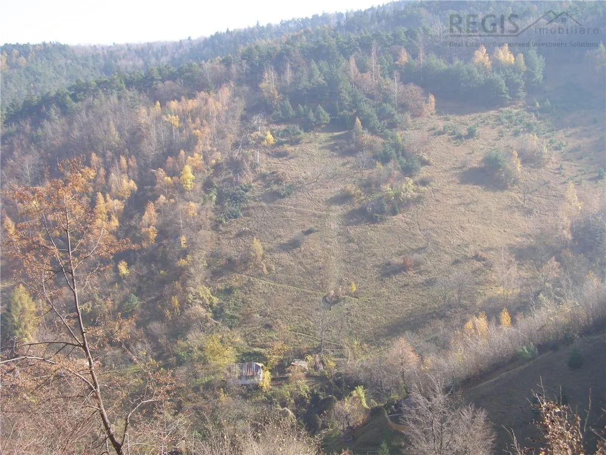 Teren arabil intravilan , priveliste mirifica , zona Schei - foto 13