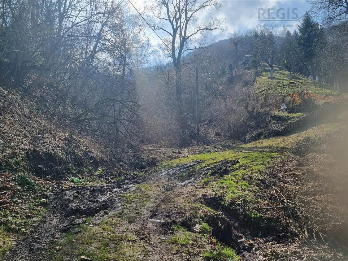 Teren arabil intravilan , priveliste mirifica , zona Schei - foto 7